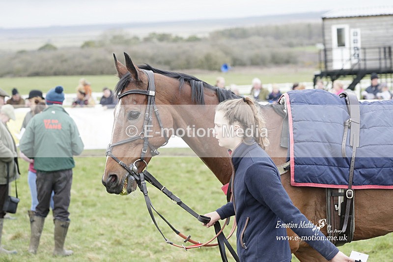 PtP 260323 0548 - New Forest Hounds Point-to-Point Larkhill 26/03/23
