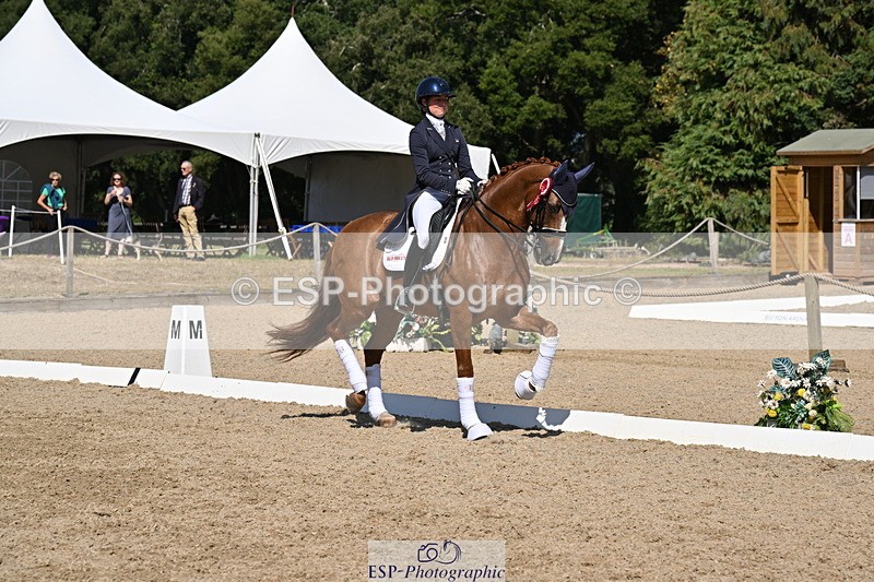 250810A-152903-08044 - Intermediate I GOLD Presentations