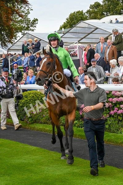 210824-Race 1-Jm Jungle-4738 - Race 1 1.50pm Symphony Group Handicap