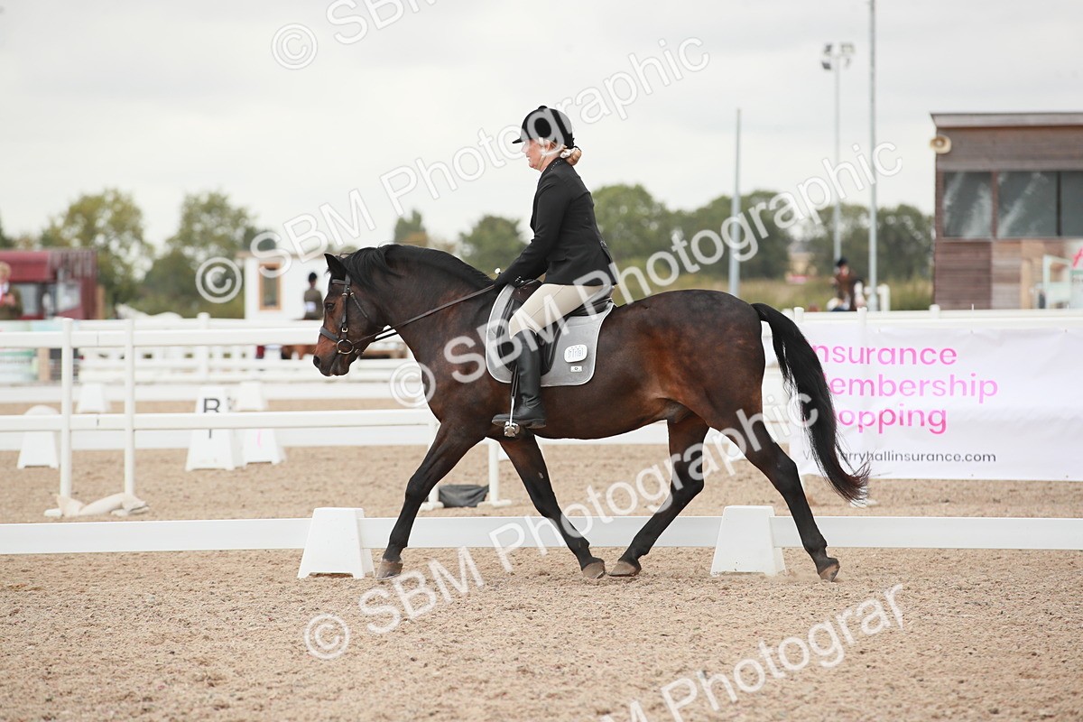 SBM_03739 - Class 31 - Prelim 1