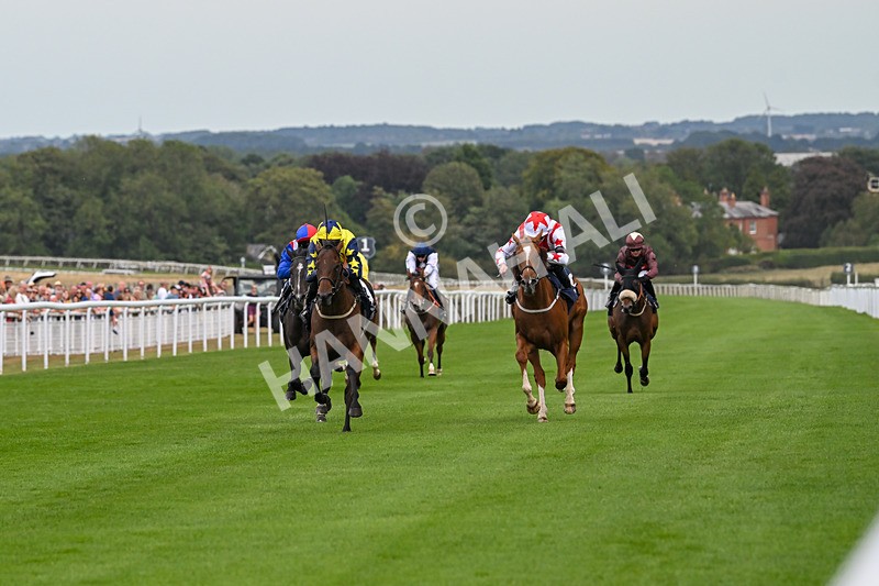 140825-Race 2-Lady Britain-0627 - Race 2