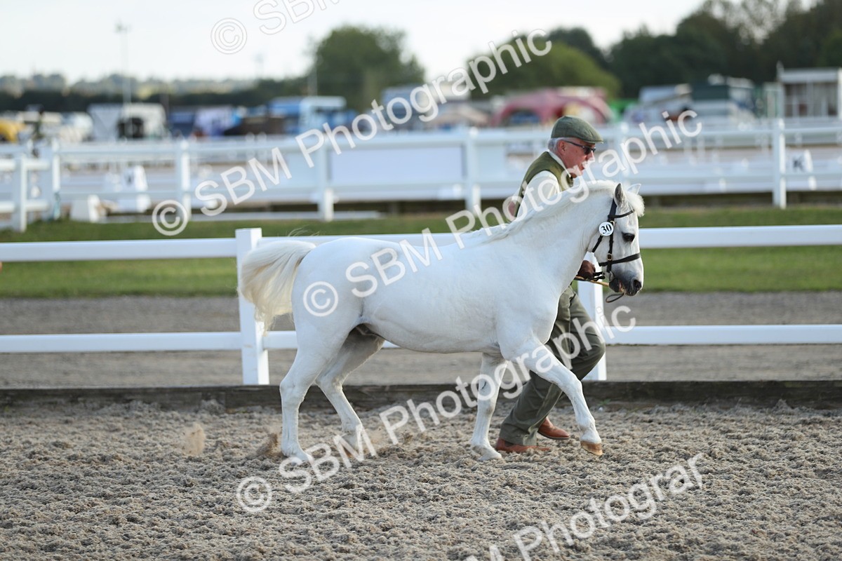 SBM_08919 - Class 29 IH Veteran Pony