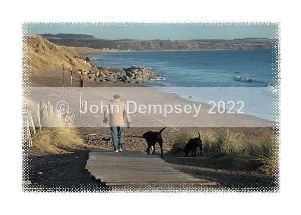 Keep Up, it's cold today! - Walking the Dog