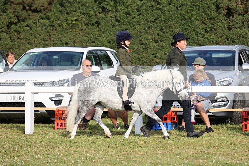 JPP_0183 - Class 14: Cornish Combination Leading Rein