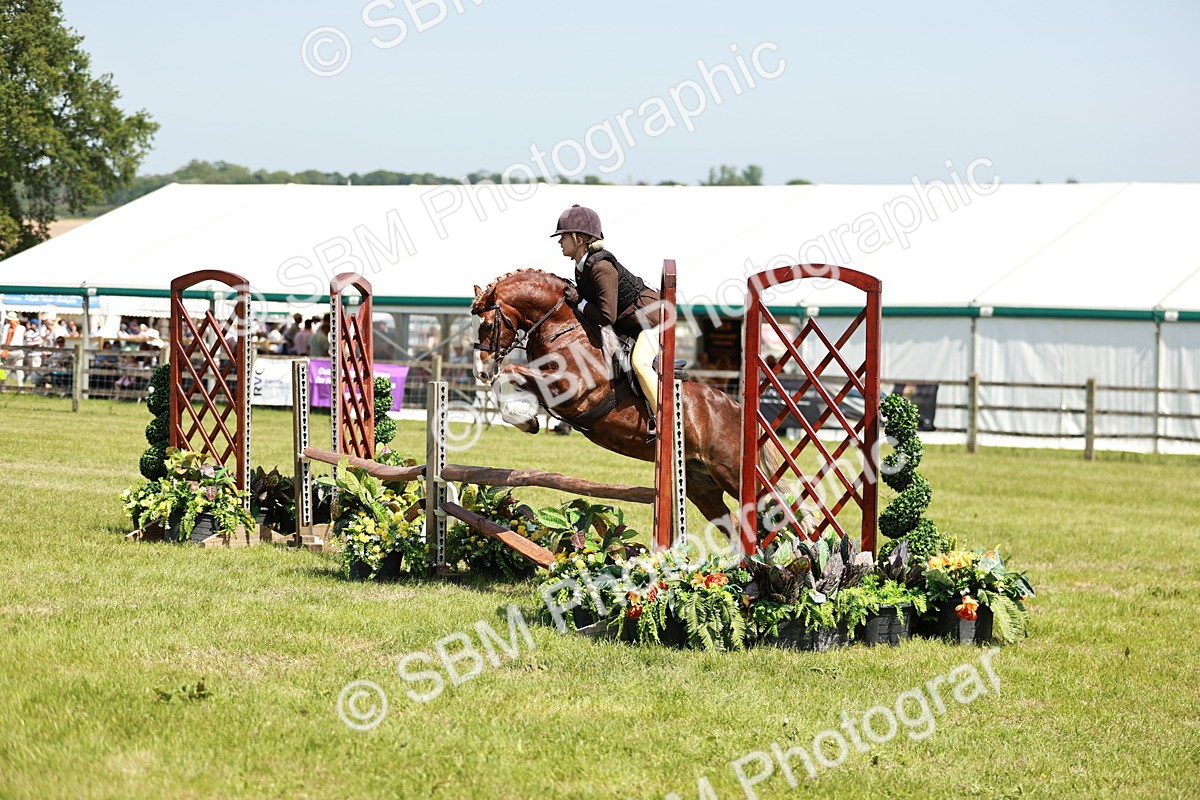 SBM_15503 - Class 108-109 - BSPS LIHS Open Gradle & Nursery Stakes