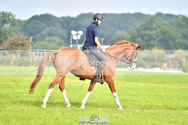 230817-091743-02515 - Abbie's 1st Group - Dressage