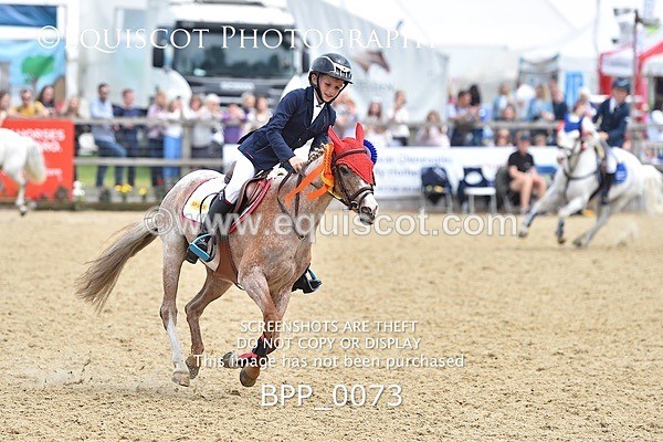 BPP_0073 - RHS 2019 Selection - *Just some random spectator shots so Lucky Dip if you are there!