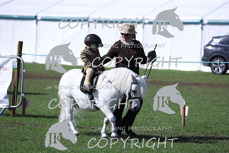 APP_3805 - Class 13 Lead rein