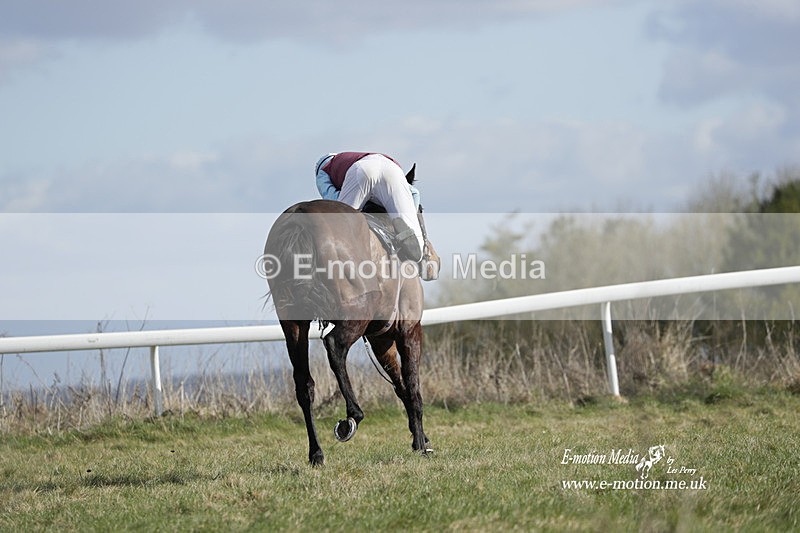 PtP 260223 522 - South & West Wilts Point-to-Point Larkhill 26/02/23