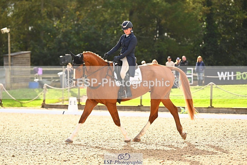 231020-145740-10047 - 311-DALOUBET.MANSOLEIN.Z-Kat.Raybould-DR