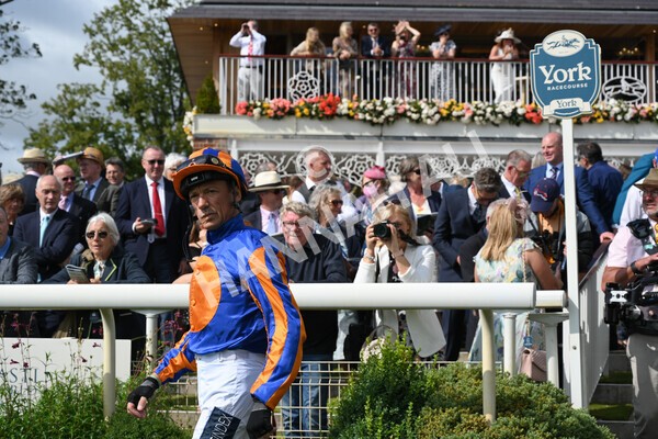 yr18082021r3-9 - Race 3 3.00pm Sky Bet Great Voltigeur Stakes