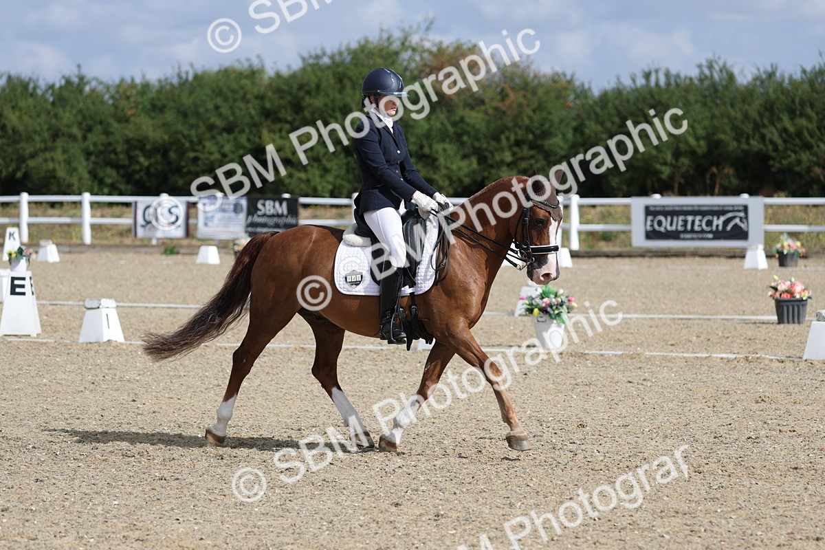 SBM_020337