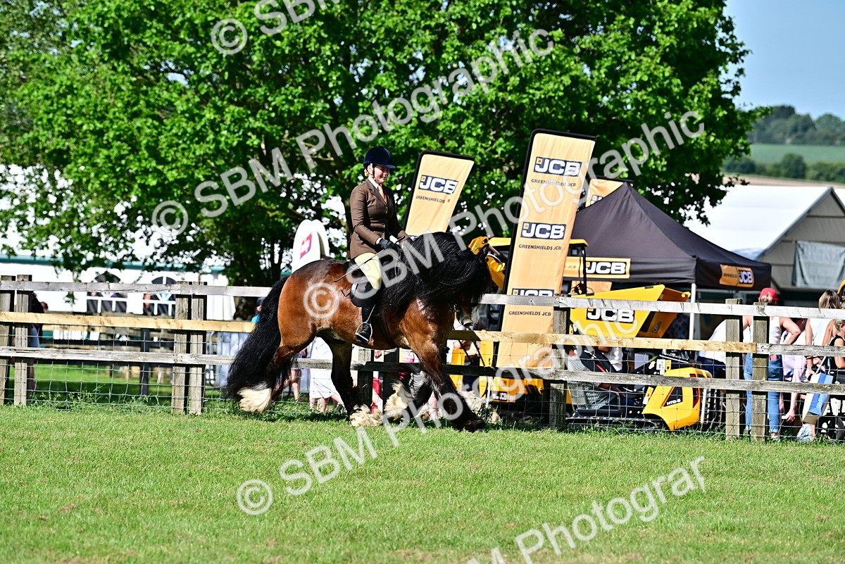 SBM_09356 - Class 63-65 - Traditional Gypsy Cobs In Hand & Ridden