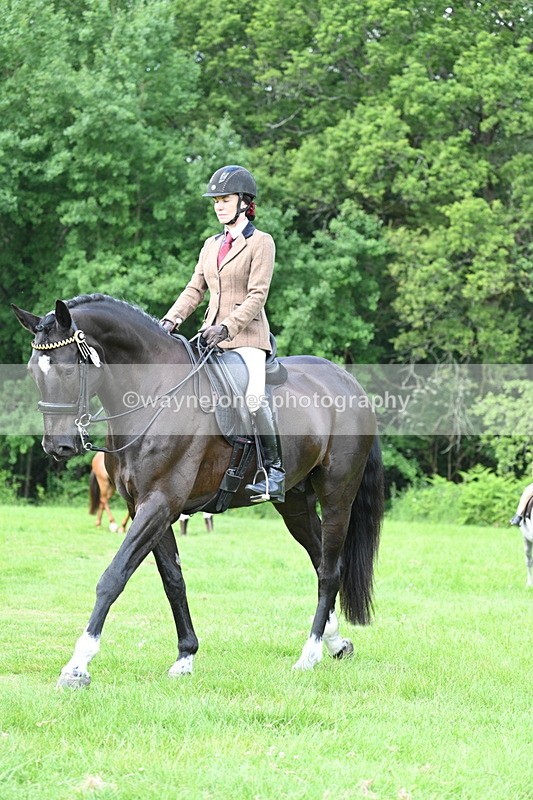 WJ7_0980 - Class 11 Condition & Turnout