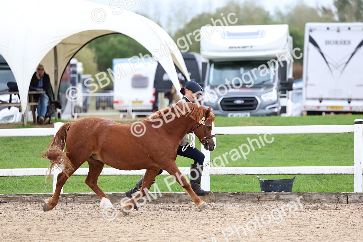 SBM_05850 - Class 29 - IH Veteran Pony