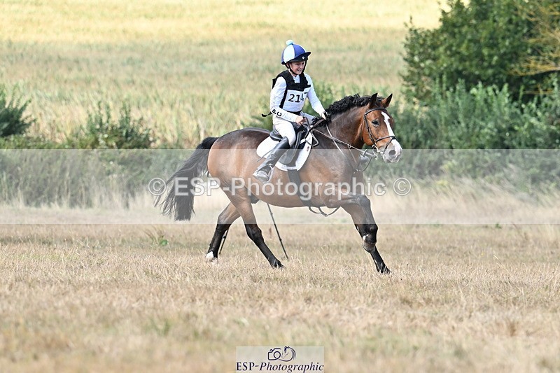 250824A-144831-38608 - 2147-George.Walford-meadow.sweet.conker