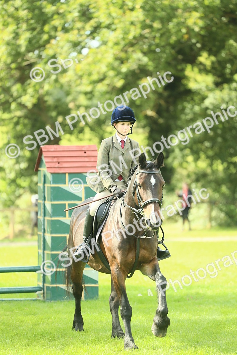 SBM_42052 - S29 - Novice & Newcomers Working Hunter Pony