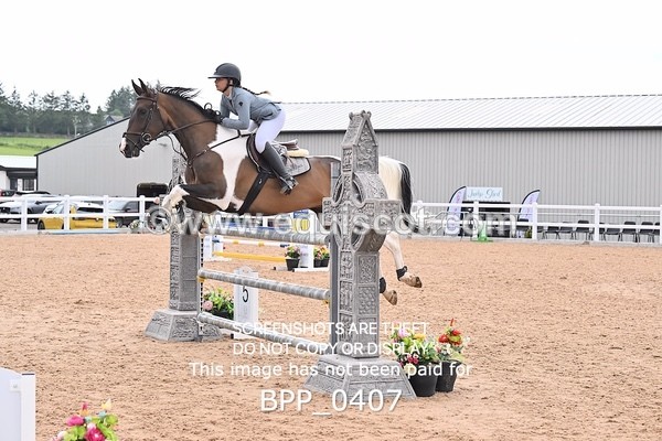 BPP_0407 - CLASS 27 SUN 6 Year Old Non Qualifier