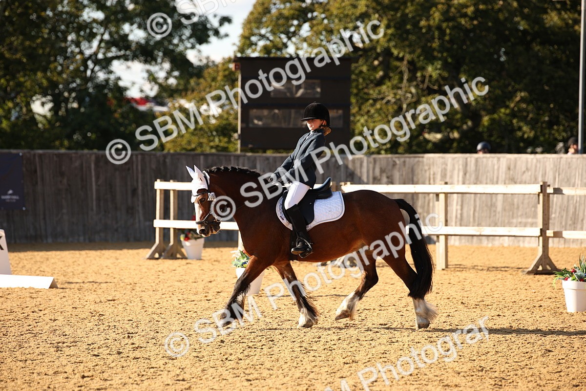 SBM_28345 - D11 - Small Tour Championship - Prelim 13