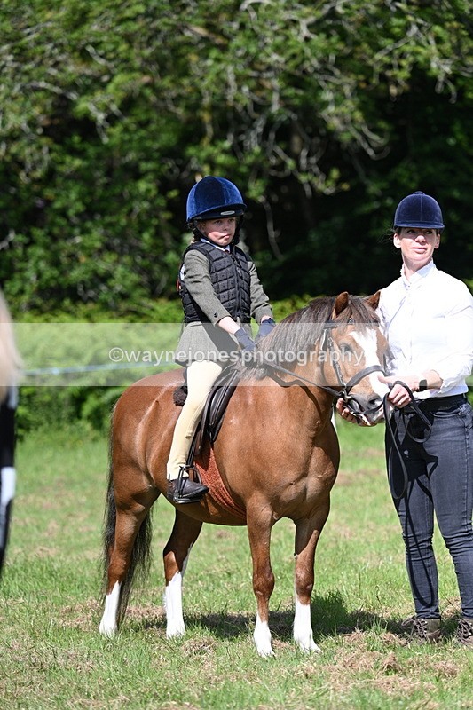 WJ7_0776 - Class 8 First Rally Pony