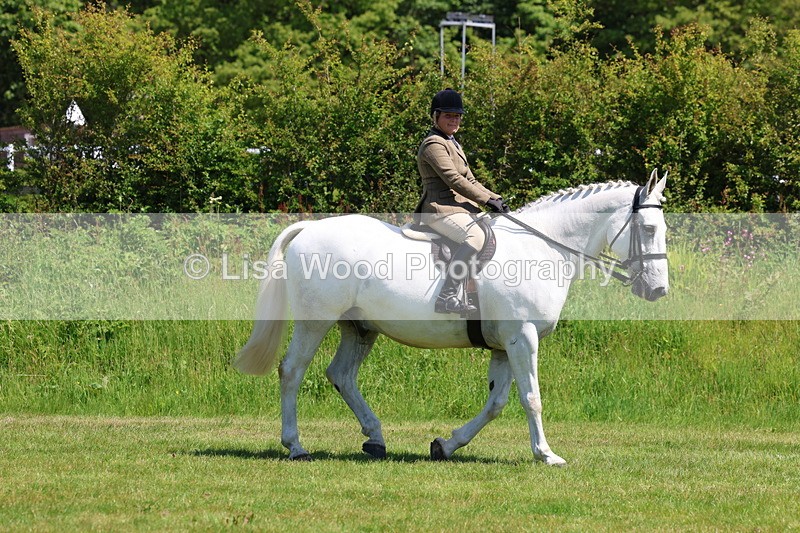 3E7A8155 - Class 13: Ridden Hunter
