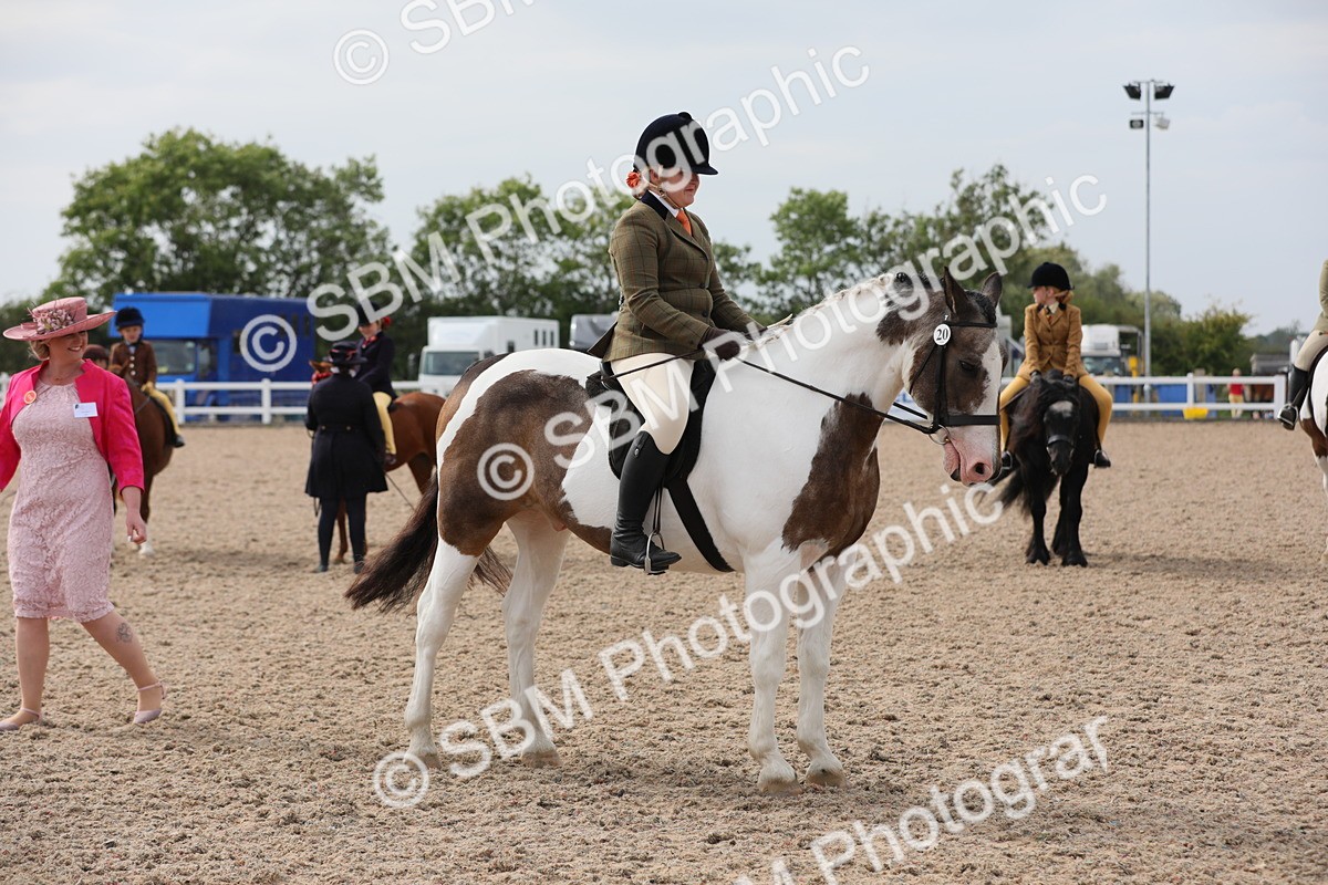 SBM_16979 - Class 314 Family Horse/Pony