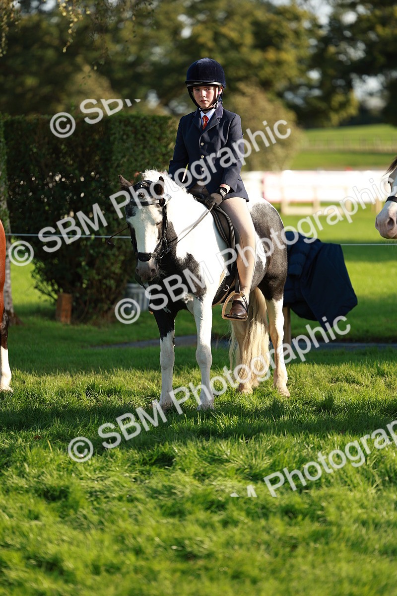 SBM_28776 - S7 - Novice & Newcomer Ridden Pony
