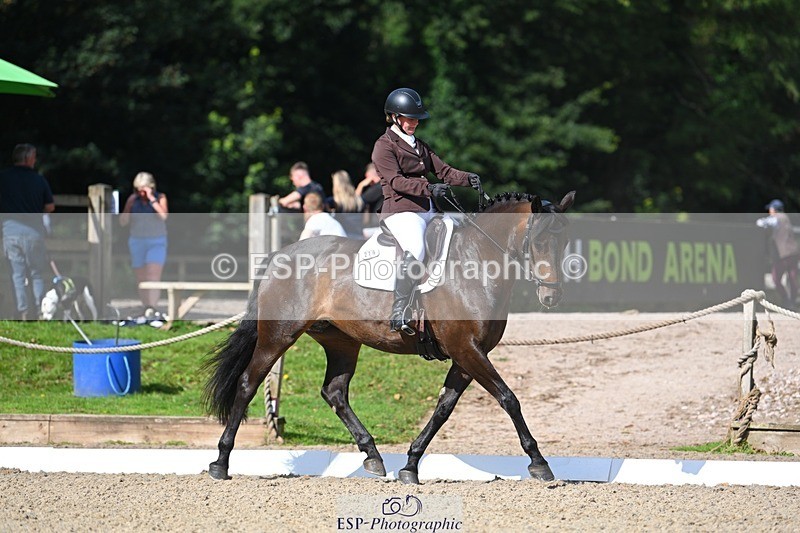 230811-095621-00183 - Cls 3 Adv Medium Bronze Start to 10.25 break