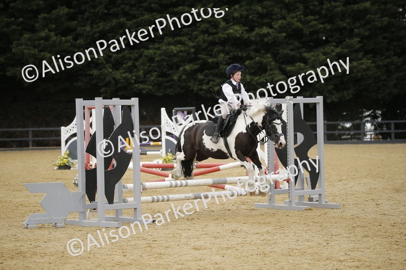 20250622-6114 - 60cm