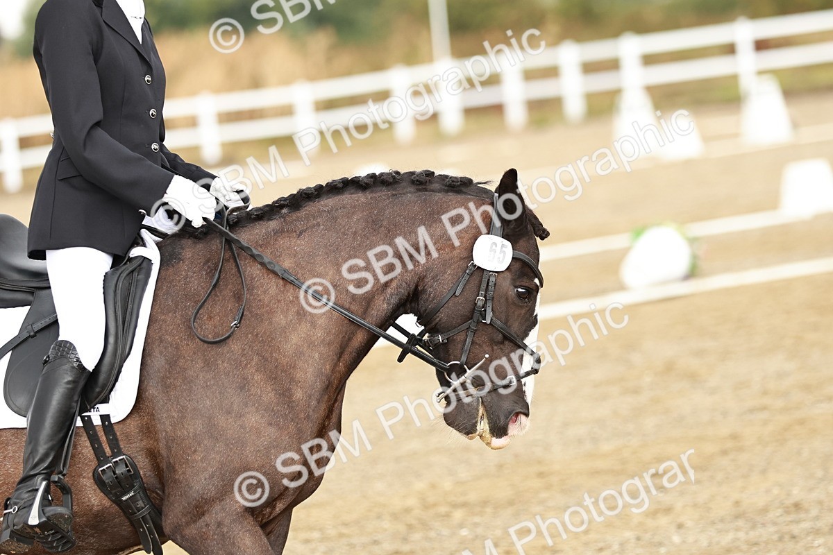 SBM_002639 - Class 5 - P3 Championship 12.05-13.29