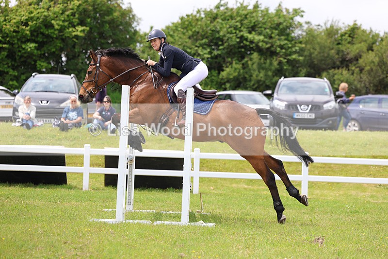 3E7A7285 - Class 13: Senior British Novice/90cm open