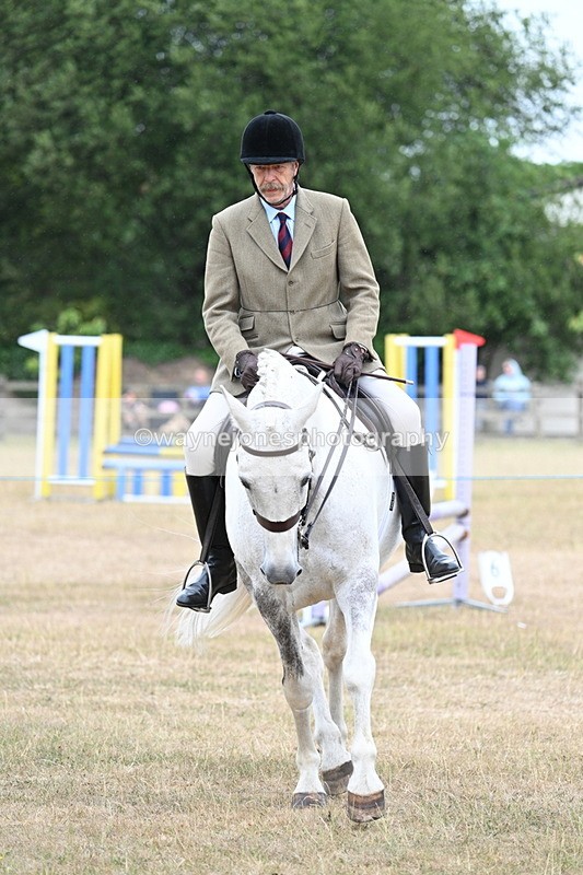 WJ7_0929 - Class 7 Riding Club Show Horse