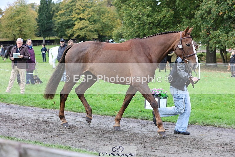 251026A-104140-23194 - F-460-Rueben.Kennah