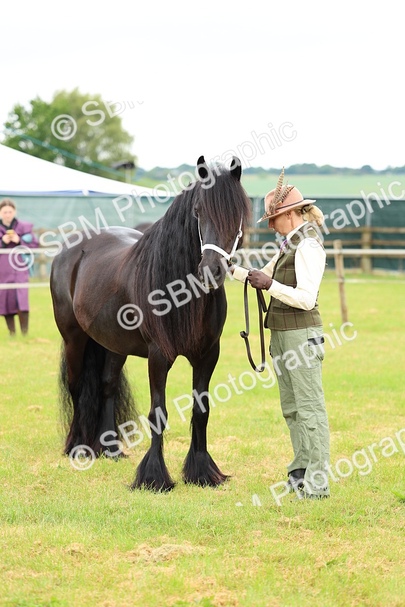 SBM_00562 - Class 58-67 - M&M Non Welsh Pony In hand