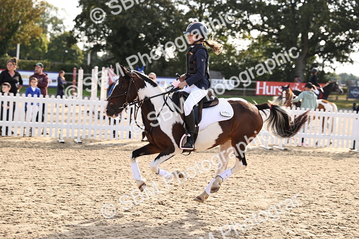 SBM_59796 - J11 - Junior Pony 50cm Championship