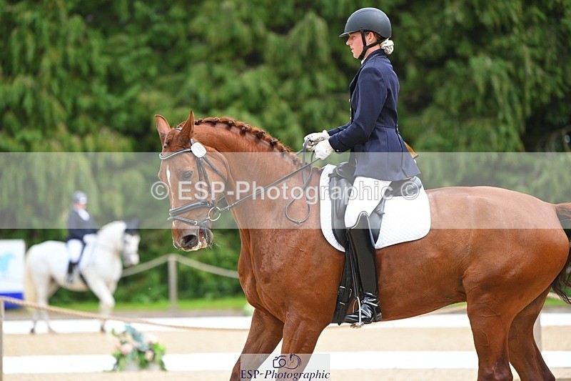 230813-135723-07653 - Cls 13 Medium Bronze 13.15 to End