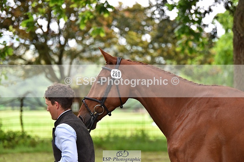 240522-171532-01487 - 280-SHANNONDALE_ARNOLD-Tom_McEwen