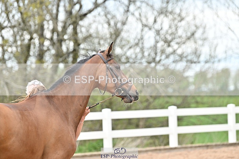 250423-151425-01489 - 3pm to 4pm