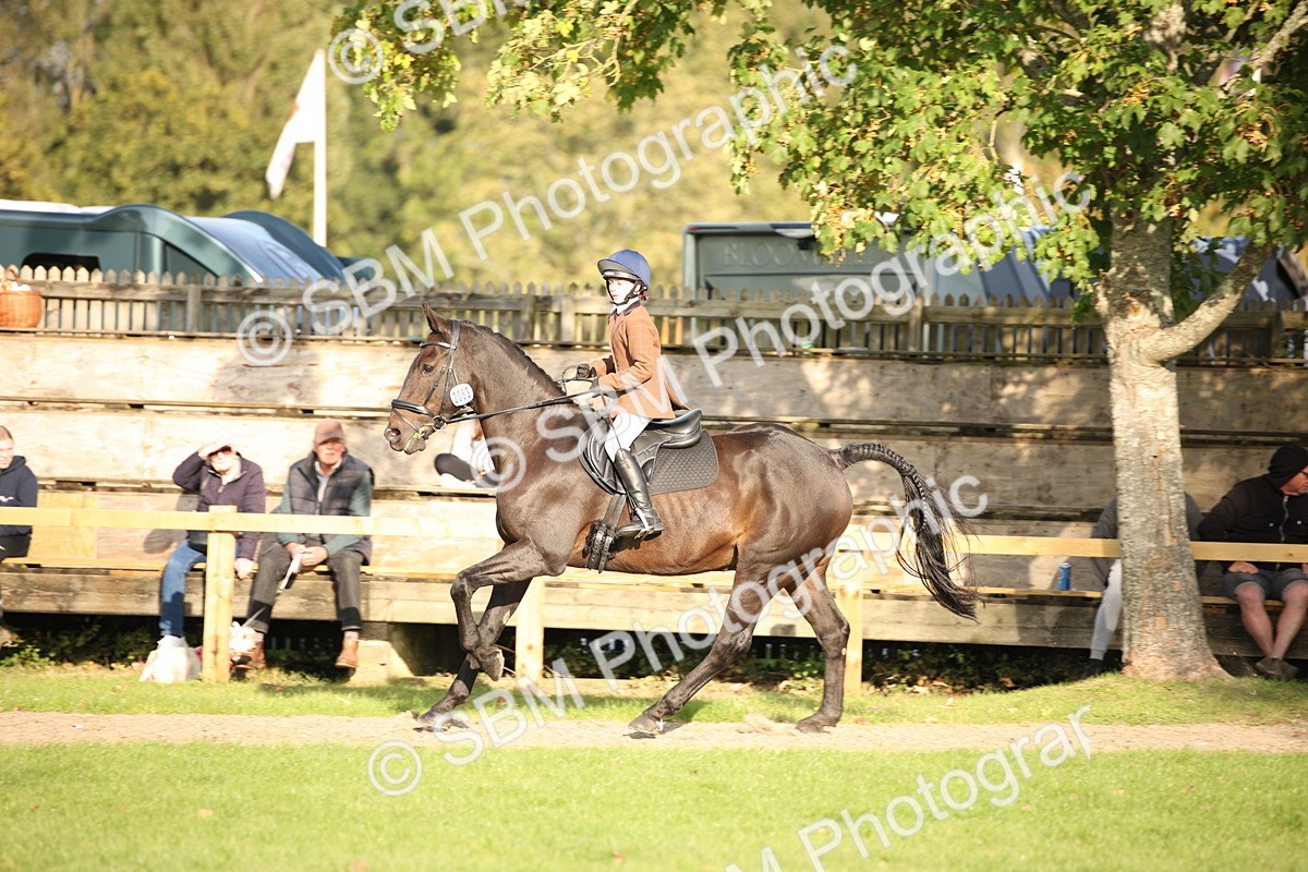 SBM_54306 - S27 - Mature Veteran - Ridden