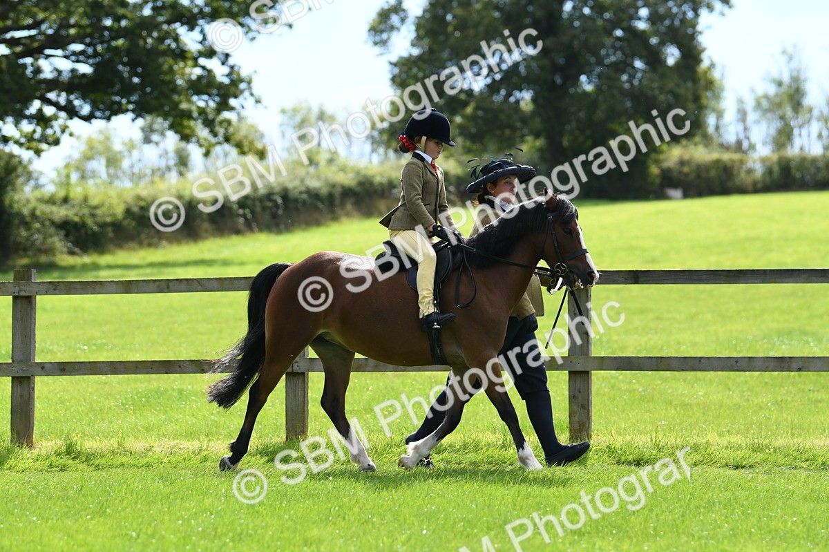 SBM_42523 - S20 - Lead Rein Mountain & Moorland Pony