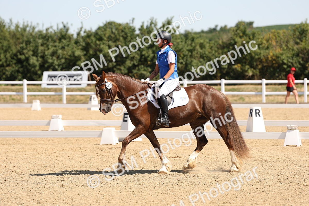 SBM_001129 - Intro 2