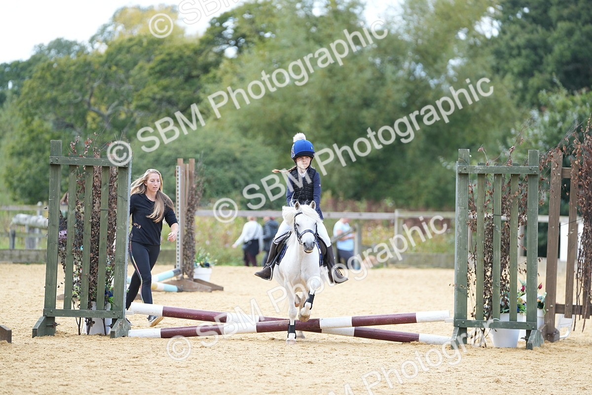 SBM_64367 - J2 - Mini Tour Junior Pony 30cm Championship