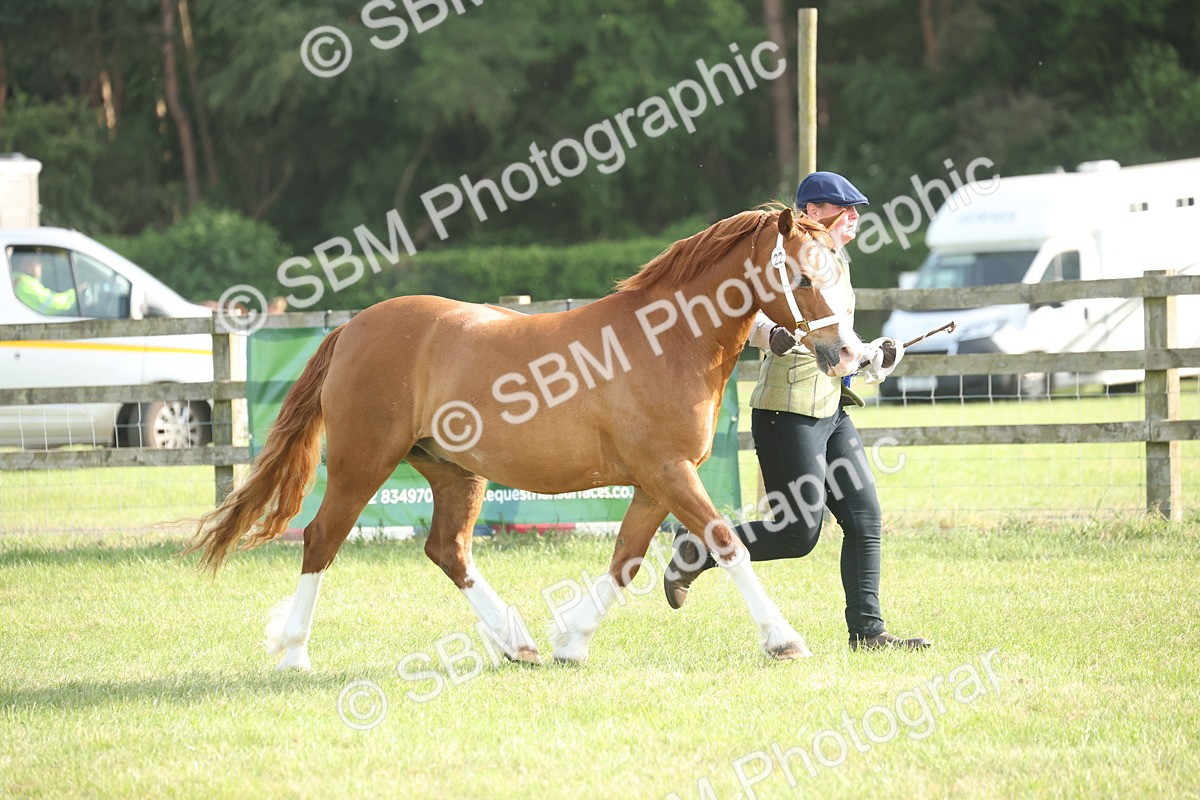 SBM_10527 - Class 33-38 - SSADL RIHS Qualifiers