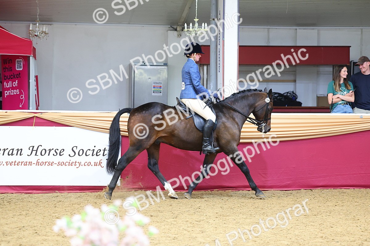 SBM_23487 - Class 904 - Supreme Final Ridden Diamond