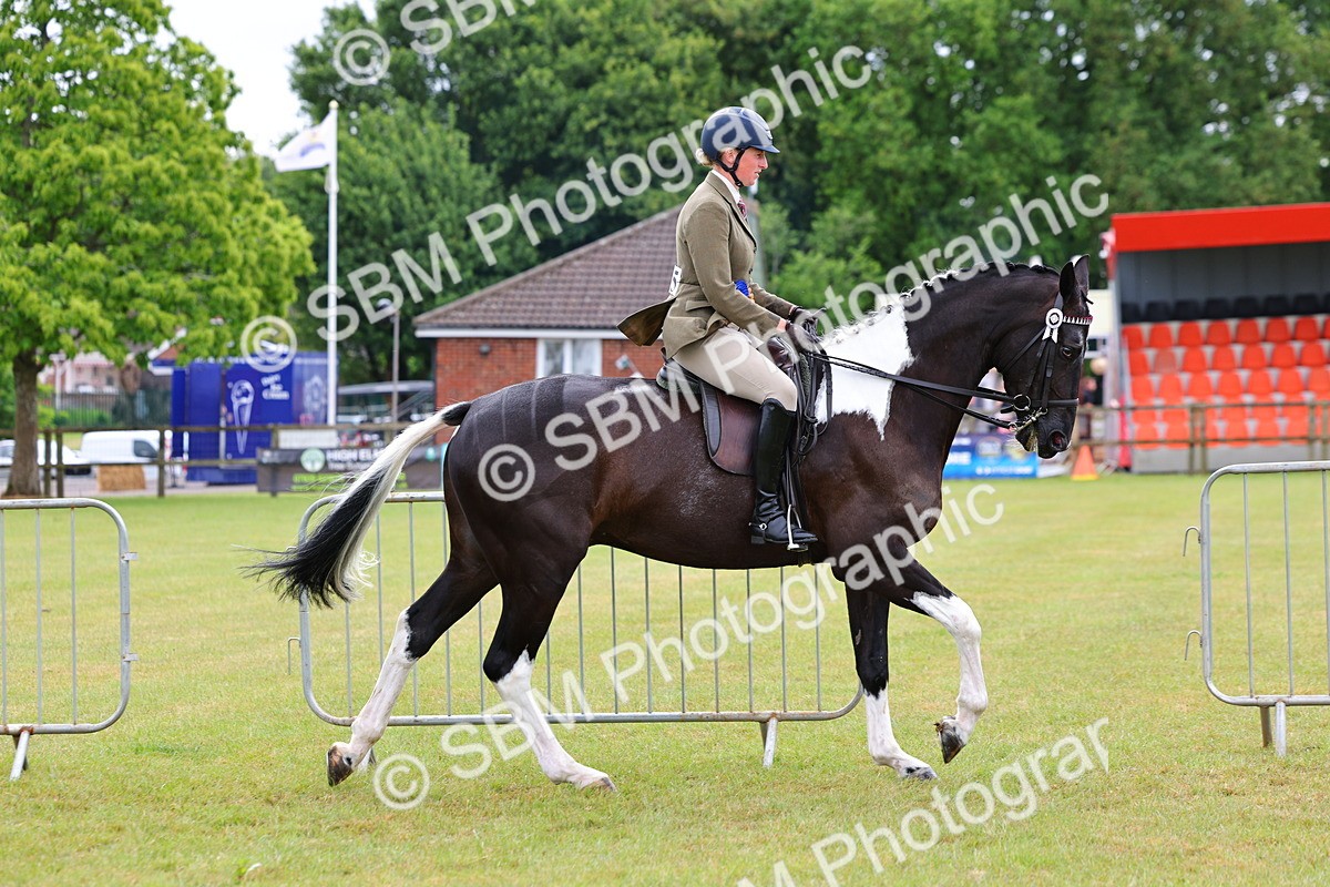 SBM_02568 - Class 9-11 Side Saddle including LIHS Rising Star Ladies Show Horse