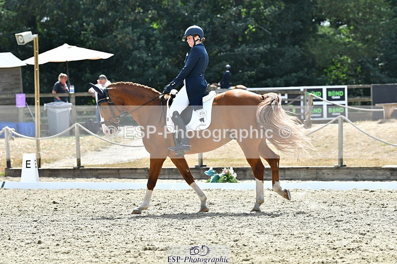 260802A-151753-07345 - Intermediate Bronze