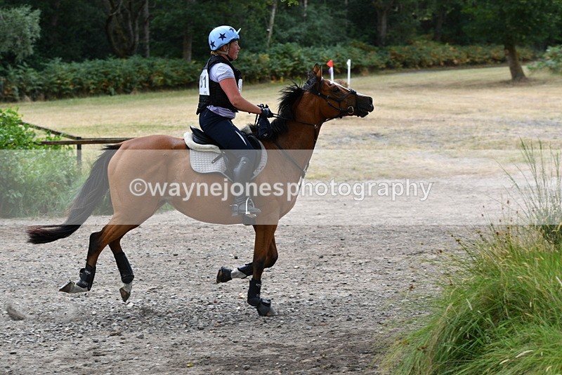 WJ5_1852 - XC Time 12:05 to 12:55