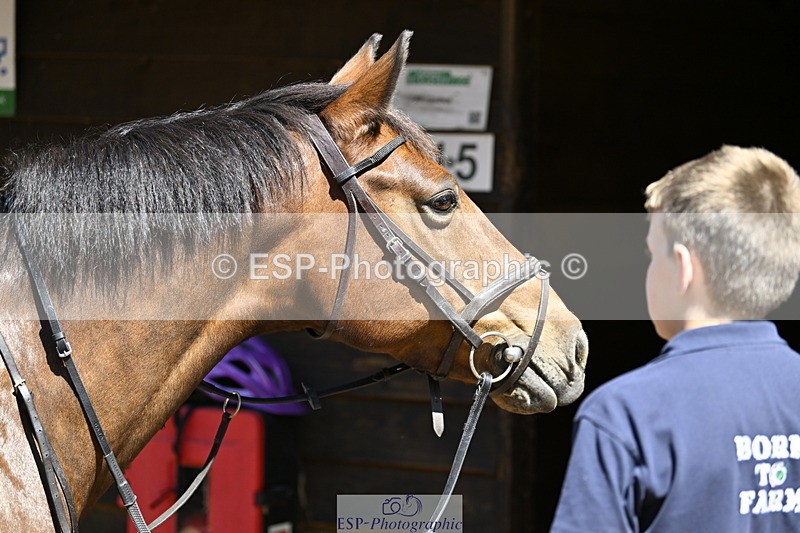 240728B-114811-00333 - Sunday Stable Shots and Fancy Dress