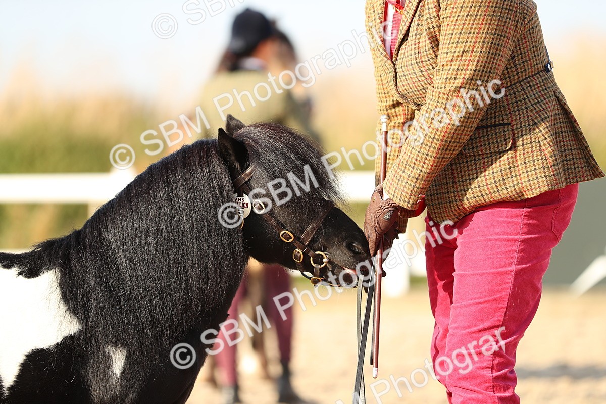 SBM_08996 - Class 29 IH Veteran Pony