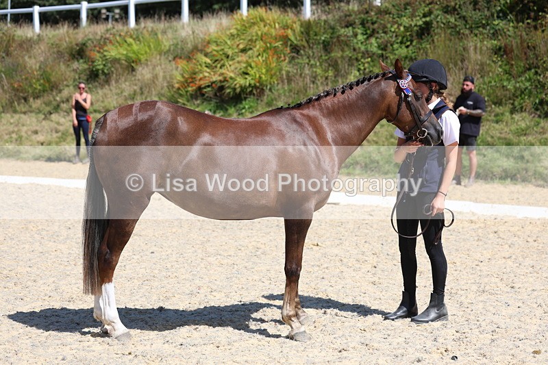 3E7A9688 - Class 32: Best Grass Kept